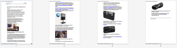 20110107 3D-Television ohne Brille « Digital Business Report